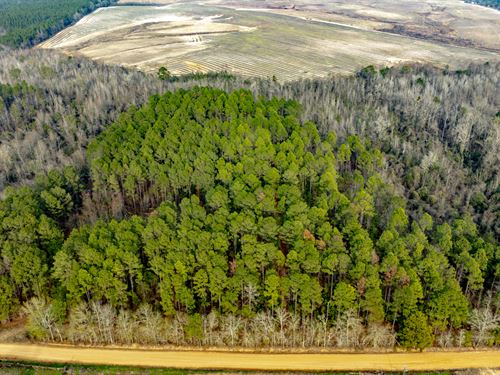 Telfair Tract 3 : Milan : Telfair County : Georgia