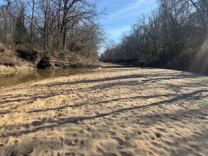 38.5 Acres in Clay County, MS : Woodland : Clay County : Mississippi