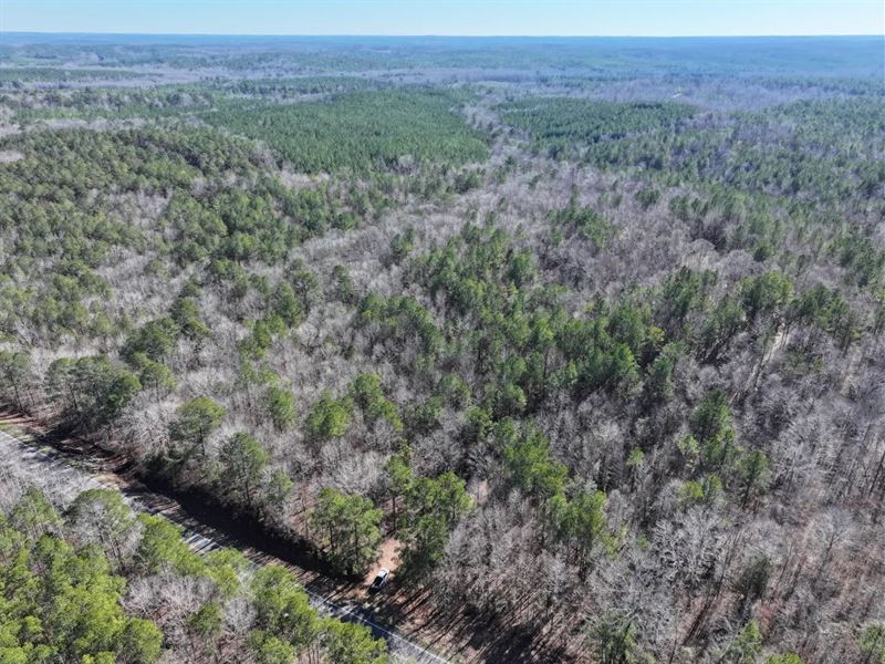 39 Acres in Pickens County, AL : Carrollton : Pickens County : Alabama