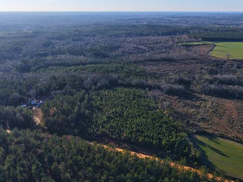 14 Acres in Covington County, AL : Opp : Covington County : Alabama