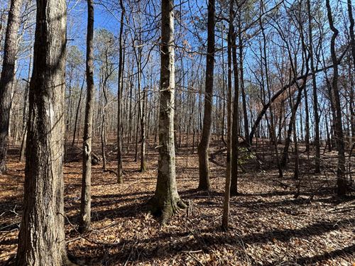 37 Acres in Dadeville, in Talla : Dadeville : Tallapoosa County : Alabama