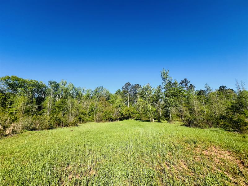 Wolf Creek Sportsman Tract : Monticello : Jasper County : Georgia