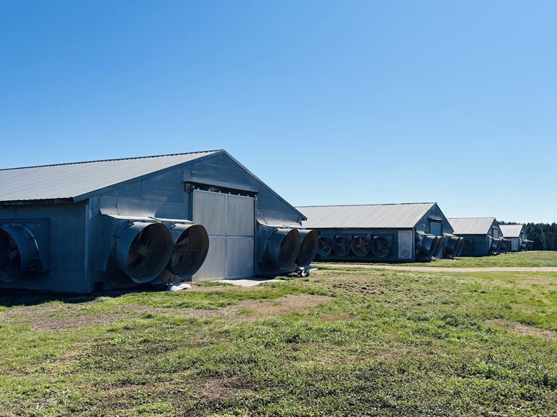 4 House Broiler with Home & Pond : Smithdale : Lincoln County : Mississippi