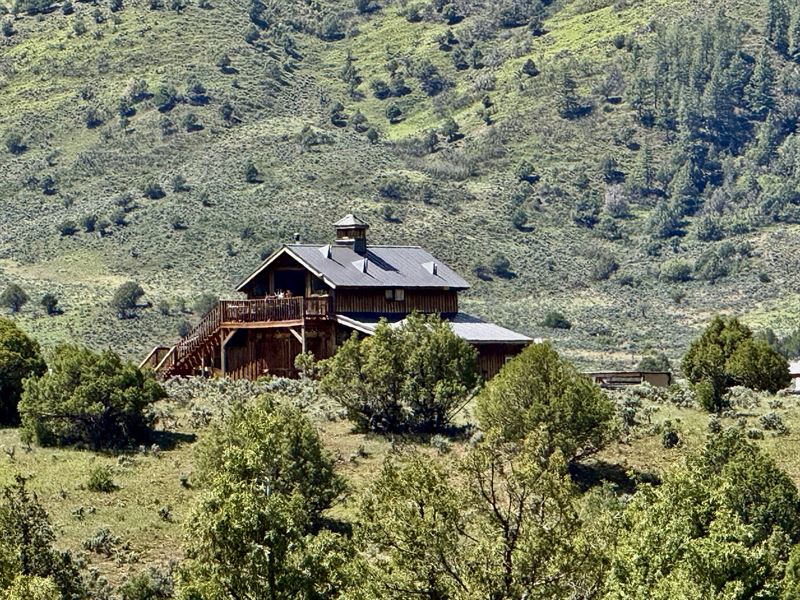 Moonlit Sage at Pinon Hills Ranch : Pagosa Springs : Archuleta County : Colorado