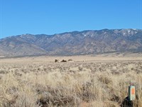 10.4 Ac with Adjacent Lot Available : Belen : Valencia County : New Mexico