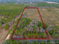 12.90 Acres, Cox Tract 1 in Dodge : Eastman : Dodge County : Georgia
