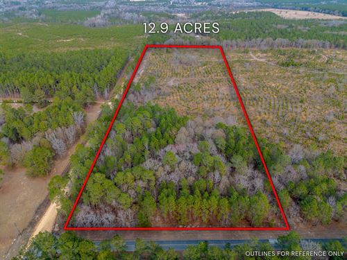 12.90 Acres, Cox Tract 1 in Dodge : Eastman : Dodge County : Georgia