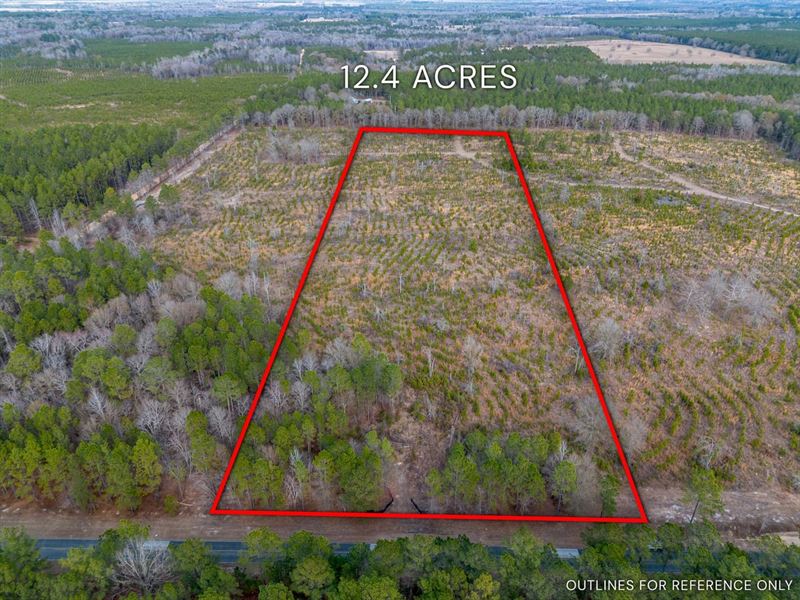 12.40 Acres, Cox Tract 2 in Dodge : Eastman : Dodge County : Georgia