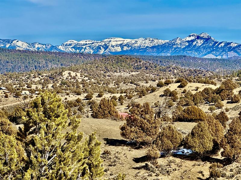 Pinon Hills Ranch Lot 30 : Pagosa Springs : Archuleta County : Colorado