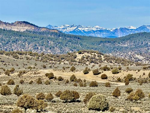 Pinon Hills Ranch Parcel 13 : Pagosa Springs : Archuleta County : Colorado