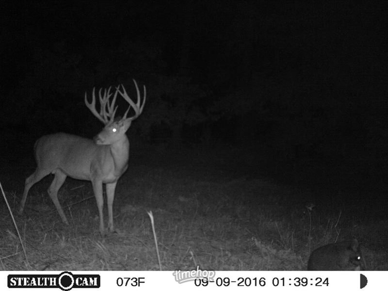 62 Acres Joining Raft Creek Wma : Georgetown : White County : Arkansas