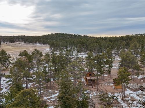 Elk Meadows 40 : Livermore : Larimer County : Colorado