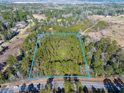 5 Acres, FM 1725 : Willis : San Jacinto County : Texas