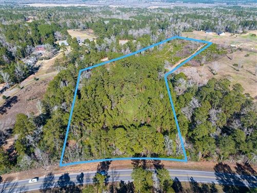 11 Acres, FM 1725 : Willis : San Jacinto County : Texas