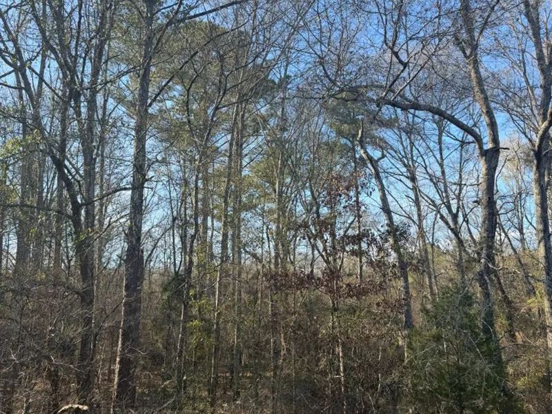 65.61 Acres Rankin County, MS : Pearl : Rankin County : Mississippi