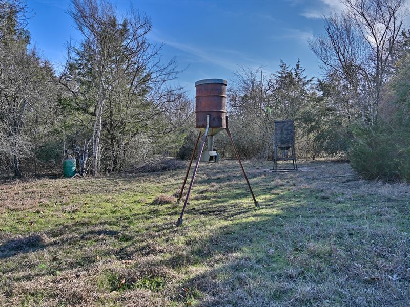 Build Your Dream in New Ulm, TX : New Ulm : Colorado County : Texas