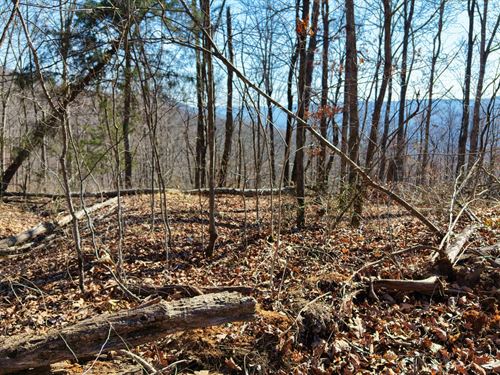 Unrestricted Lot in Grundy TN : Beersheba Springs : Grundy County : Tennessee