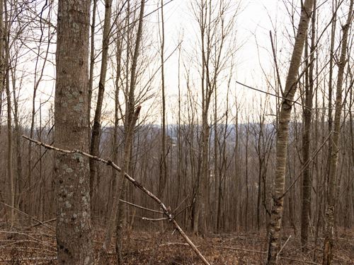 As Low as $499 Down/Multiple Avail : Livingston : Whitley County : Kentucky