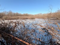 Ducks, Deer, & Turkeys on Bayou Des : Griffithville : White County : Arkansas