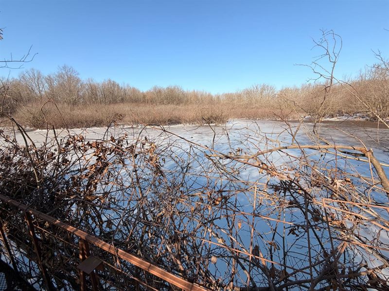 Ducks, Deer, & Turkeys on Bayou Des : Griffithville : White County : Arkansas