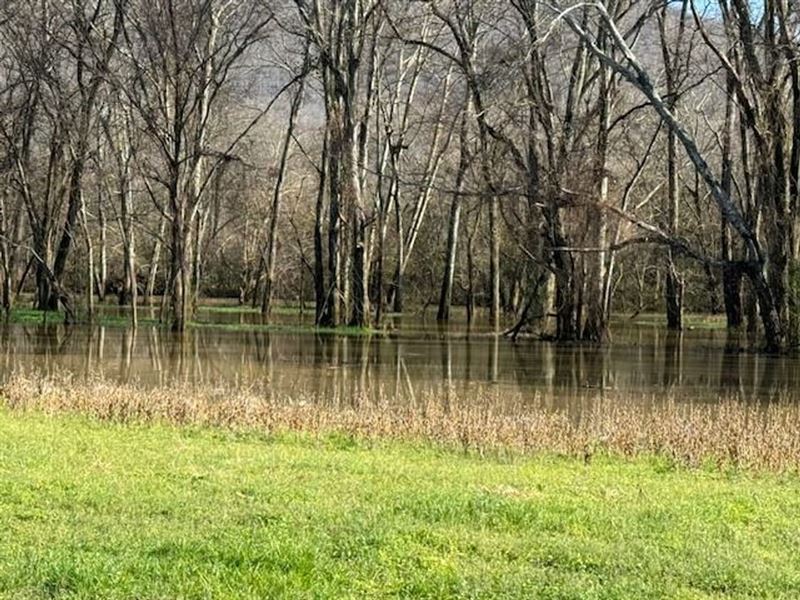 Prime 89 Acre Recreational Retr : Paint Rock : Jackson County : Alabama