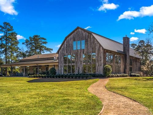 42 Acres, 3603 FM 1725, Willis : Willis : San Jacinto County : Texas