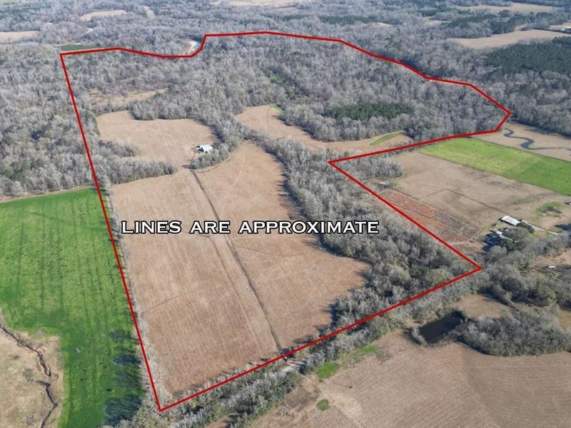 255 Acres East Baton Rouge Parish : Zachary : East Baton Rouge Parish : Louisiana