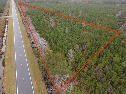 Affordable Hunting Tract : Bayboro : Pamlico County : North Carolina