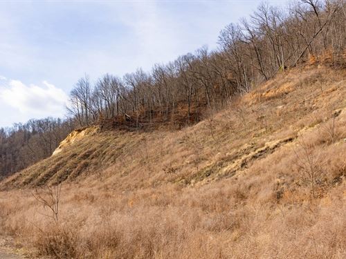 $499 Down/ Multiple Available : Livingston : Whitley County : Kentucky