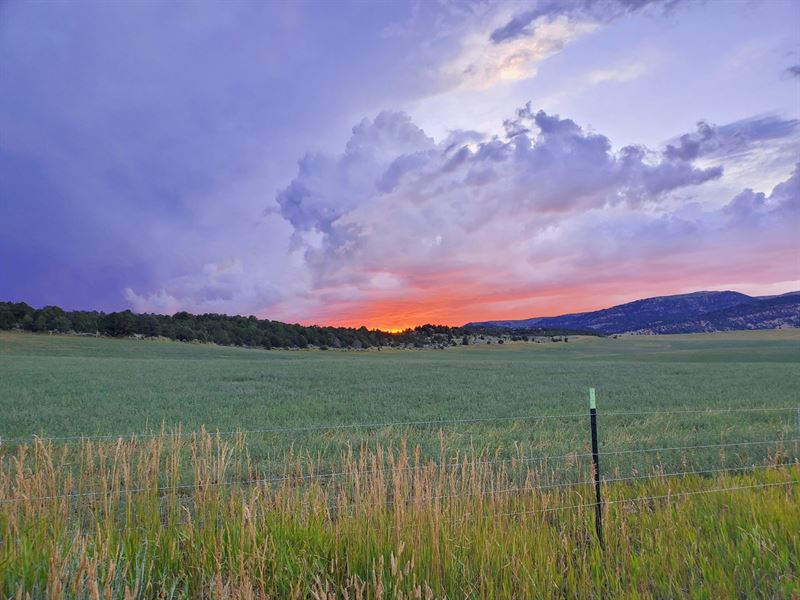 Strawberry Hunting and Ag Ranch : Meeker : Rio Blanco County : Colorado