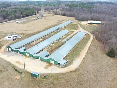 J&N Breeder Farm : Russellville : Franklin County : Alabama