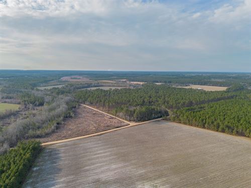 Premier Recreational & Timber Inves : Odum : Wayne County : Georgia