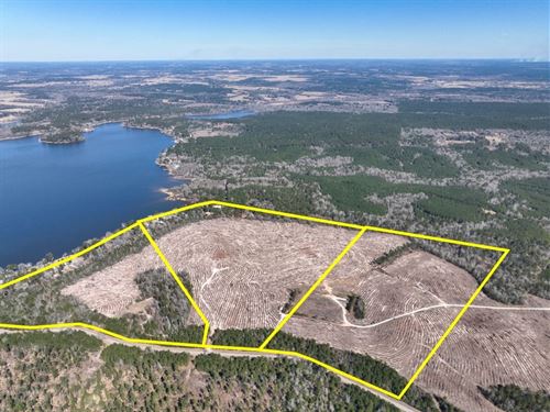 56.5 Acres, T-2, County Road 2140 : Crockett : Houston County : Texas