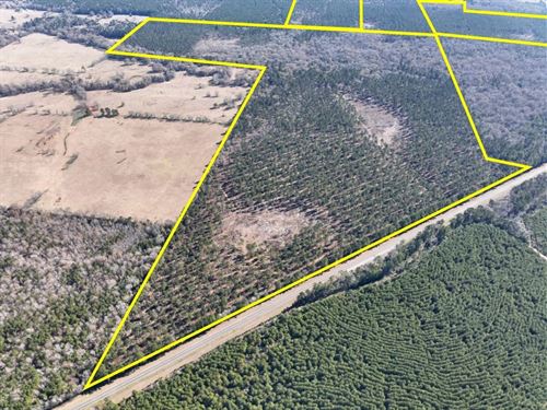 264 Acres, T-1, Highway 287, 104 : Pennington : Trinity County : Texas