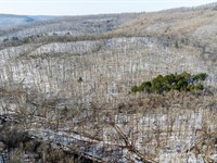 Scotland Ridge 40 : Scotland : Conway County : Arkansas