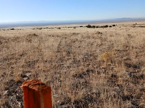 Quiet Ranch Land Near Mountains : Belen : Valencia County : New Mexico