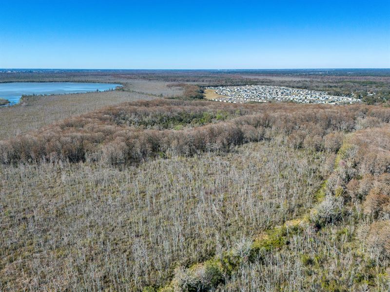 Leesburg 80 Acre Recreational Tract : Leesburg : Lake County : Florida