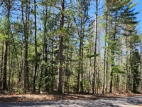 Heavily Wooded Parcel : Lac Du Flambeau : Vilas County : Wisconsin