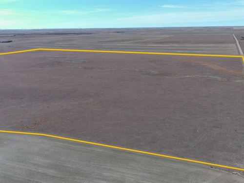 Ulmschneider Expired Crp : Bushnell : Kimball County : Nebraska