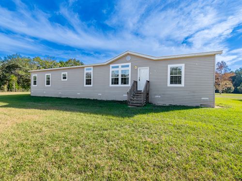 Country Living On 5 Acres : Hawthorne : Putnam County : Florida