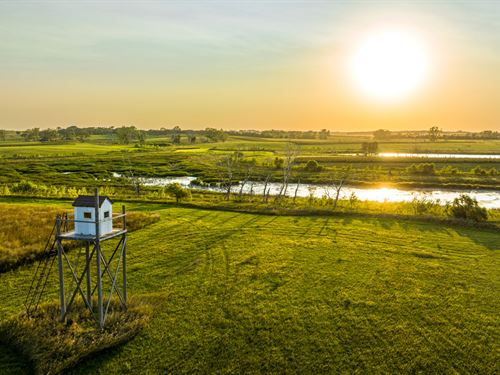South Dakota Pheasant Acres East : Armour : Charles Mix County : South Dakota
