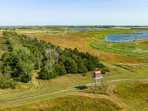South Dakota Pheasant Acres West : Armour : Charles Mix County : South Dakota