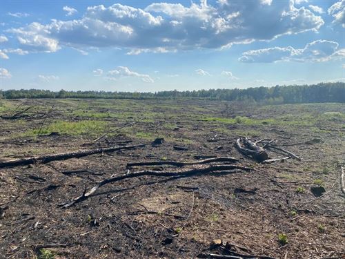 40 Acres in Lincoln County, AR : Star City : Lincoln County : Arkansas