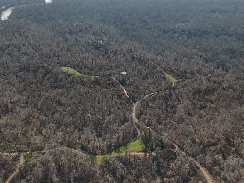 Holloman Tract 1374, Yazoo County : Bentonia : Yazoo County : Mississippi