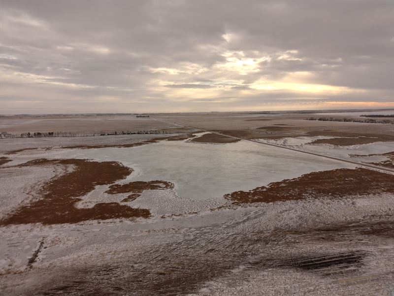 40 Acres, Sargent County, North : Oakes : Sargent County : North Dakota