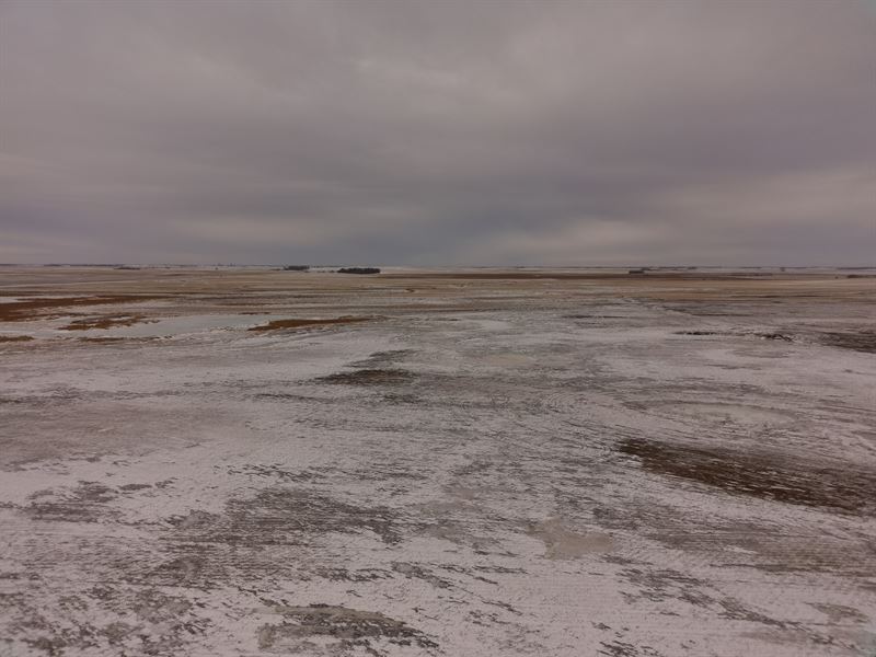 120 Acres, Sargent County, North : Oakes : Sargent County : North Dakota