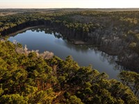 Treaty Springs Ranch : Brushy Creek : Anderson County : Texas