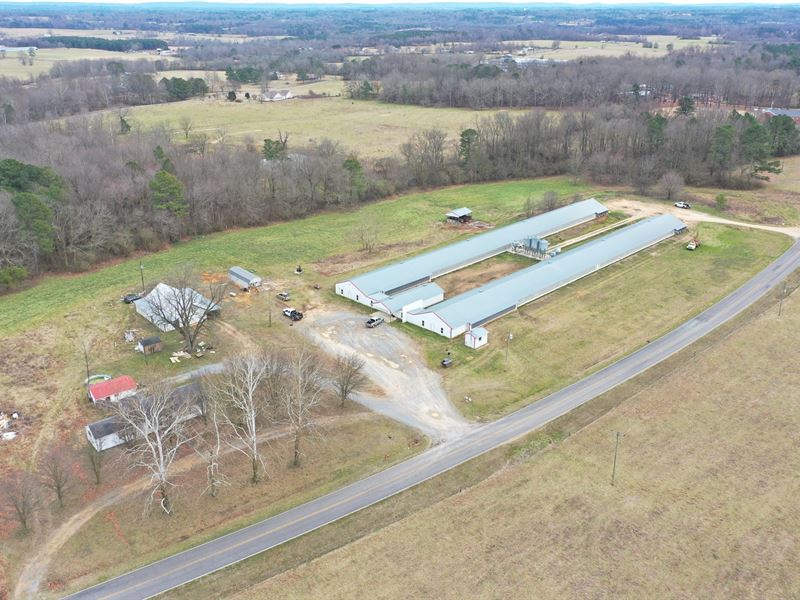 Sycamore Breeder Farm : Fyffe : Dekalb County : Alabama