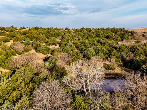 Old Hwy 81, 80 : Bennington : Ottawa County : Kansas