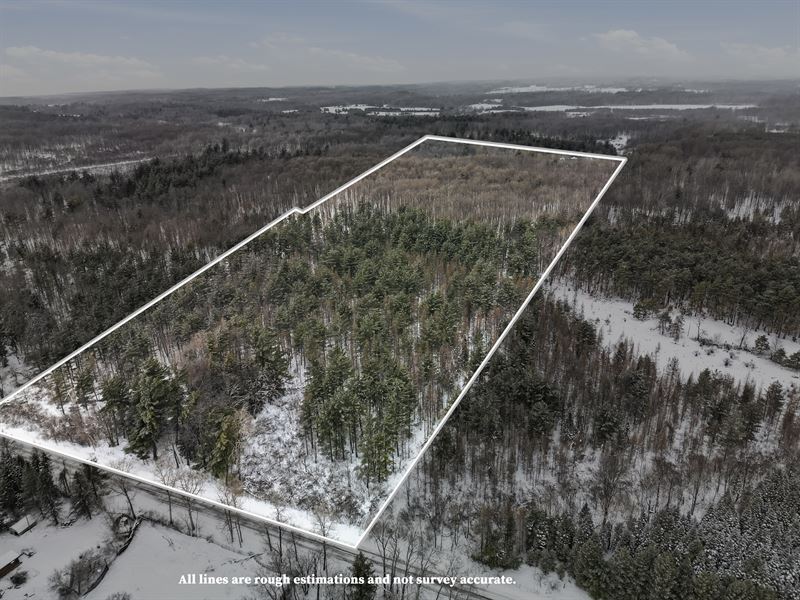 Franz Creek 36 : Leroy : Osceola County : Michigan